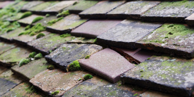 Lympsham roof repair costs
